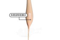 解鎖紙袋粘合藝術：牛皮紙的完美伴侶——專業級膠水指南